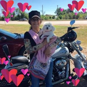 Meet your Posher, Marissa